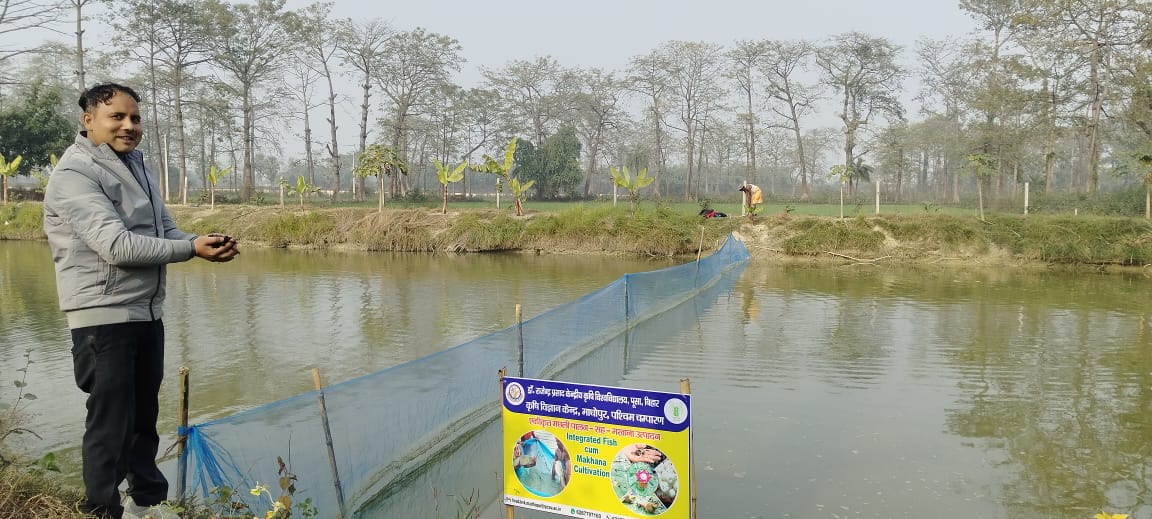 किसानों की आय बढ़ाने के लिए केवीके मधोपुर में मखाना सह मछली पालन  प्रारम्भ 