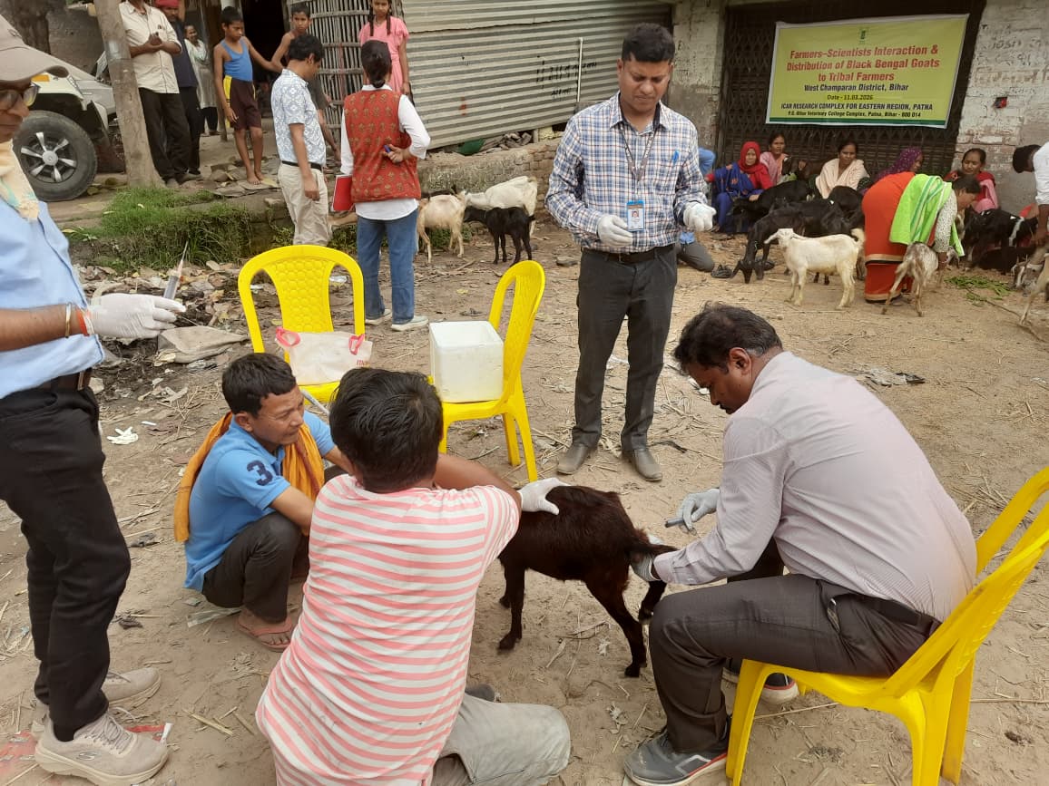 बेतिया में बकरी पालन पर किसान–वैज्ञानिक संवाद, वैज्ञानिक विधि से आय वृद्धि का आह्वान