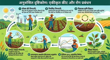 भारतीय कृषि अनुसंधान परिषद का पूर्वी अनुसंधान परिसर, पटना एल नीनो लेख श्रृंखला, एल नीनो की परिस्थितियों में कीट-व्याधि प्रबंधन को आवश्यक अनुशंसा